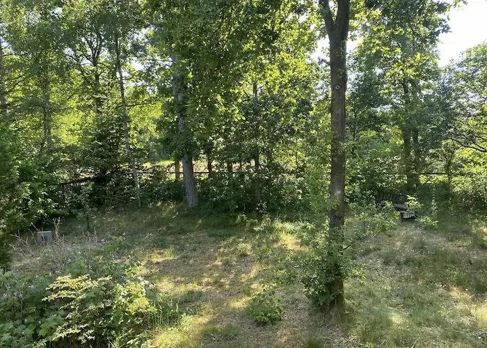 بيت للعطل House Near Woods And Fields In Mols Bjerge *